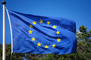 Eine europäische Flagge weht im Wind vor einem blauen Himmel und grünen Büschen.